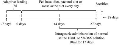 Modulating Effect of Paeonol on Piglets With Ulcerative Colitis